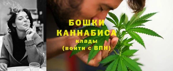 хмурый Горняк