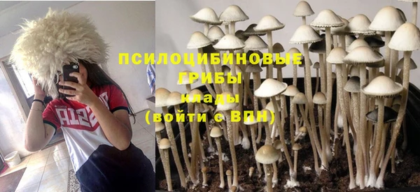 гидра Вязники